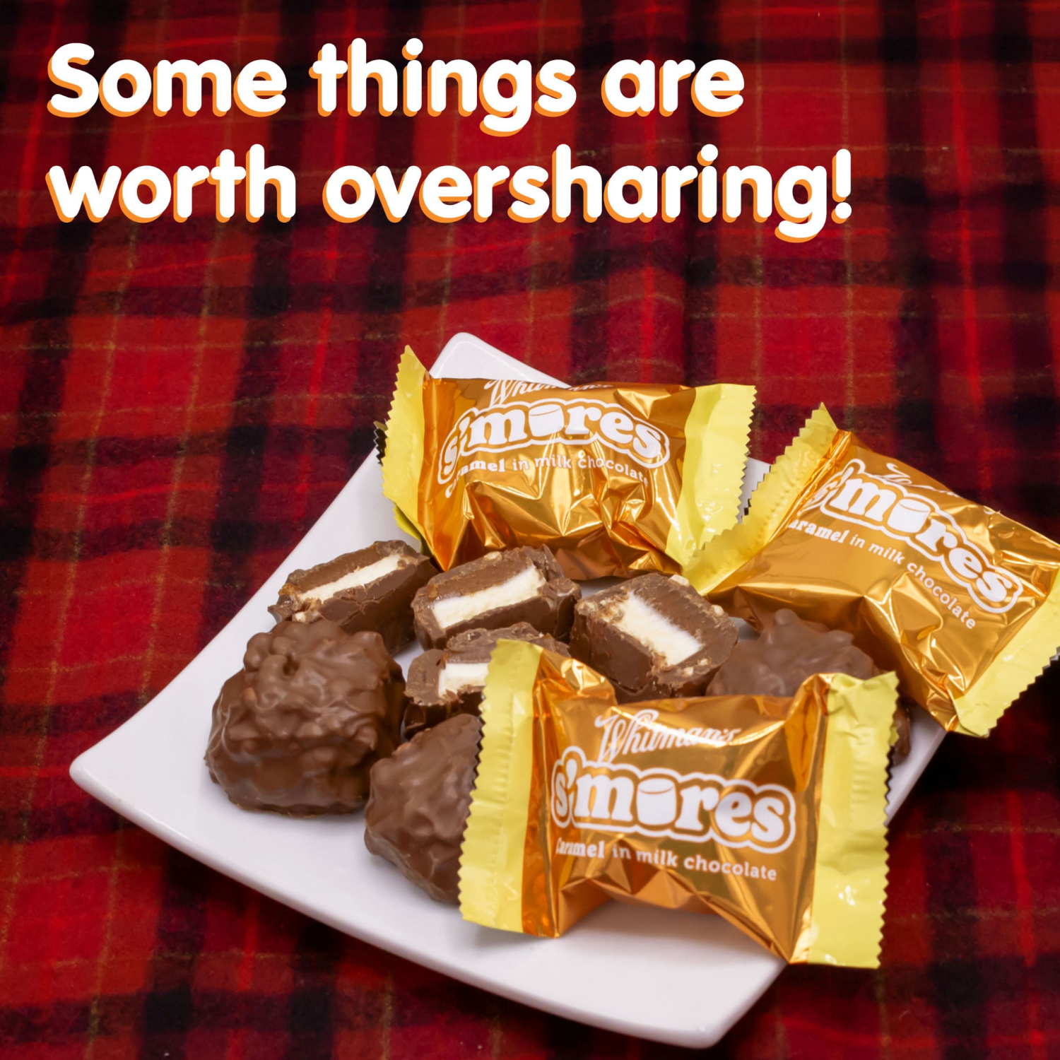 slide 4 of 8, WHITMAN'S S'Mores Caramel Milk Chocolate Candy Bag, 7.3 oz