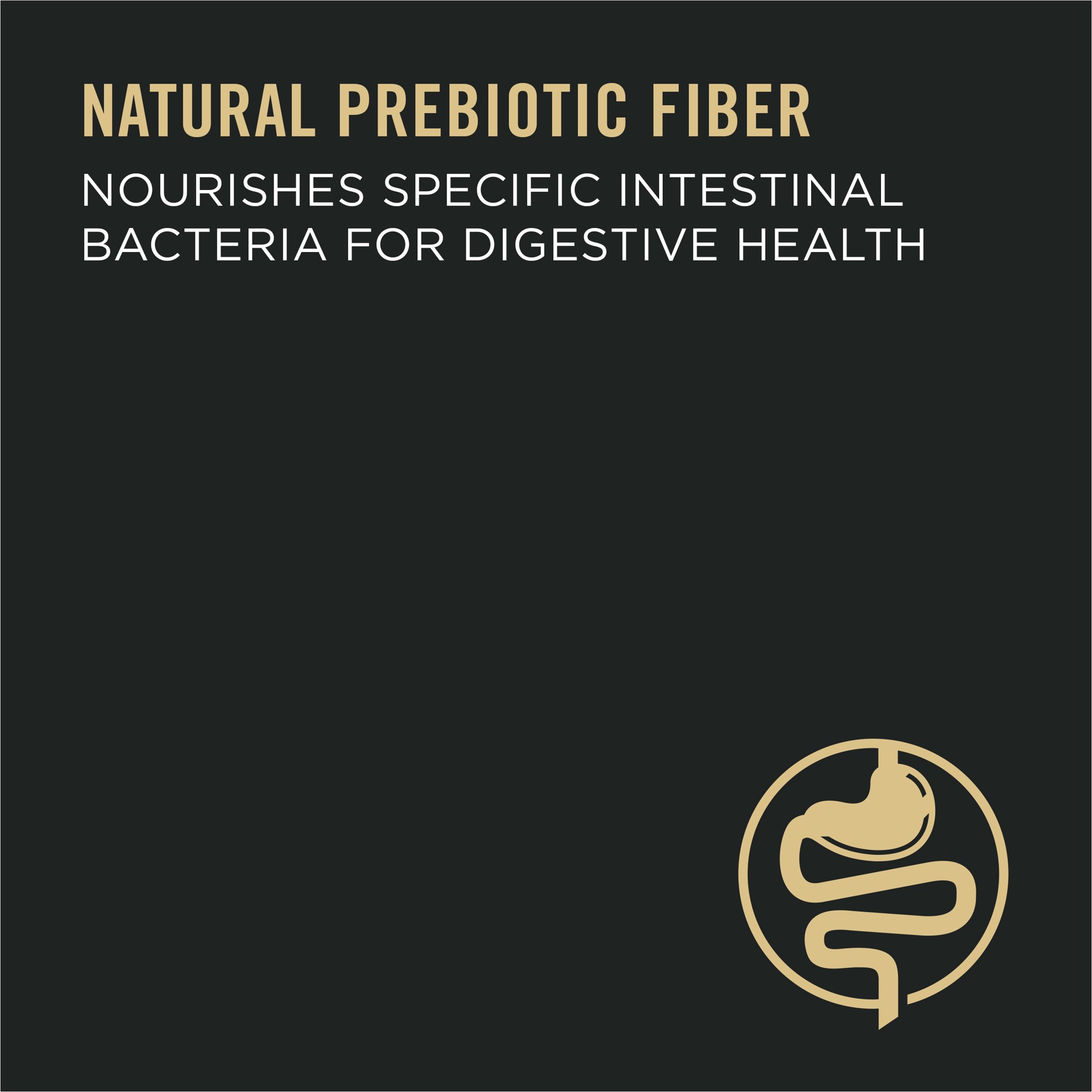 slide 5 of 9, Purina Pro Plan Adult 7 Plus Complete Essentials Shredded Blend Beef and Rice Formula High Protein Dog Food for Senior Dogs, 18 lb