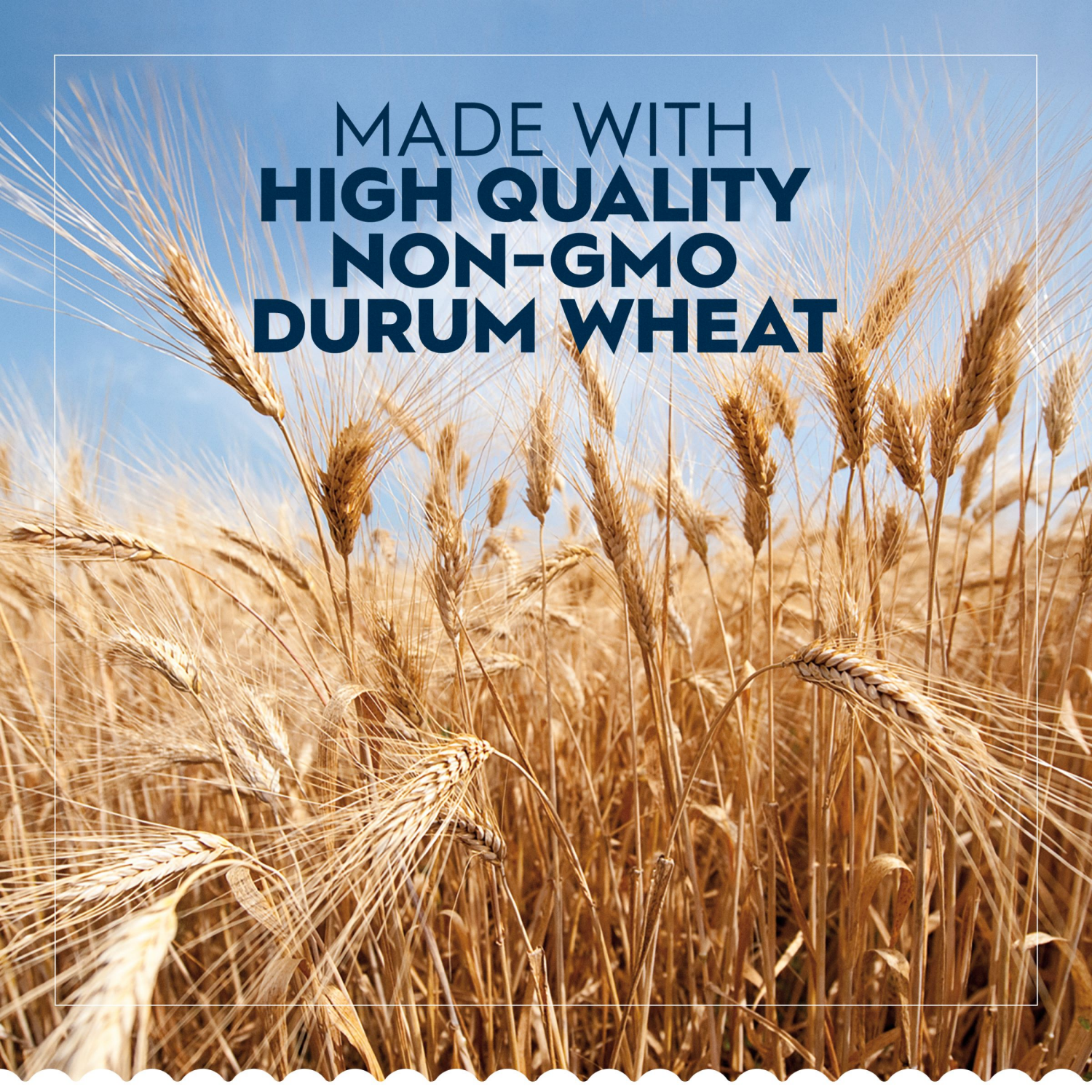 slide 6 of 7, Barilla Collezione Tortellini Three Cheese Pasta, 12 oz