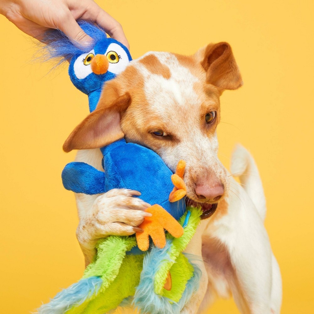 bark peabody peacock dog toy