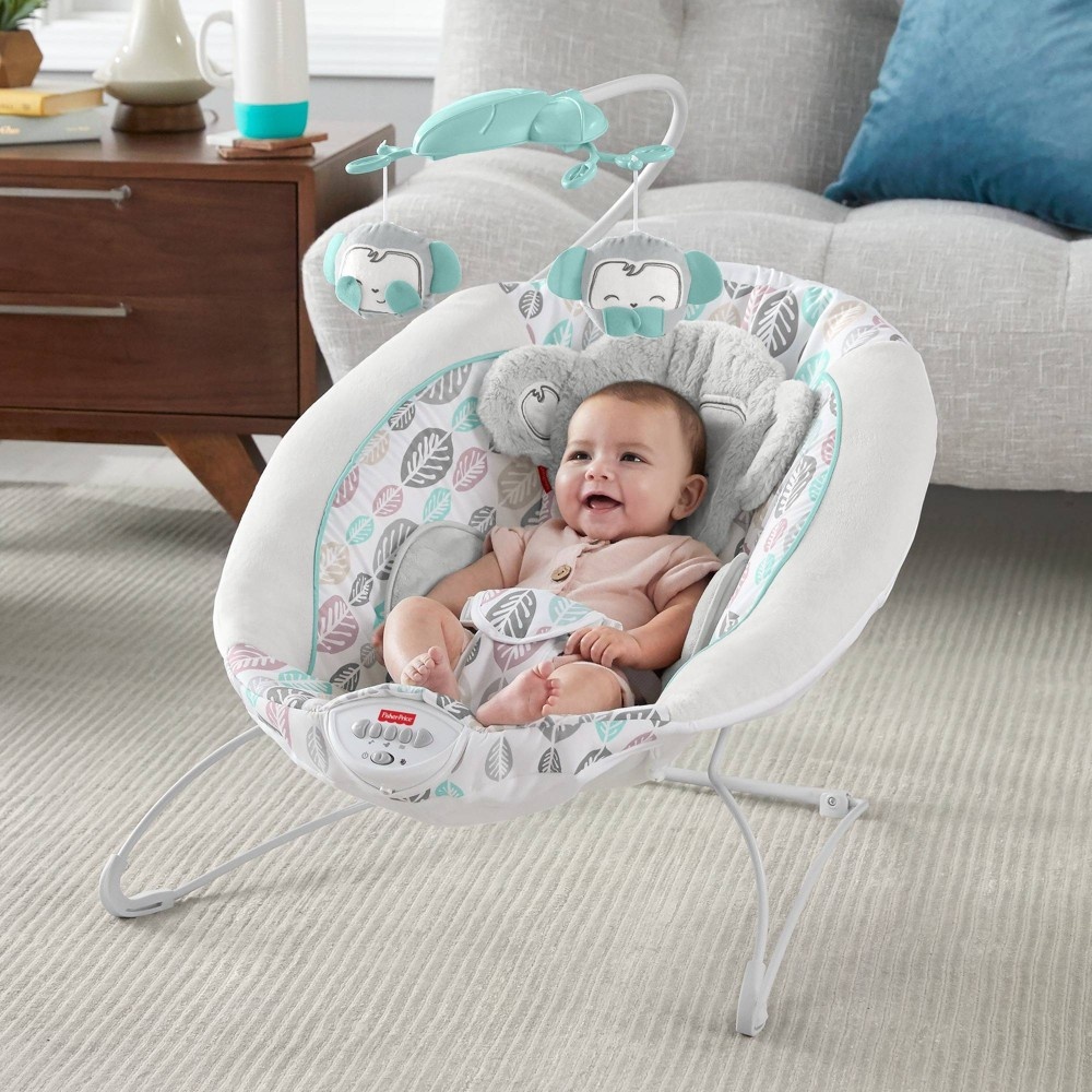 slide 5 of 6, Fisher-Price Snugamonkey Deluxe Bouncer, 1 ct