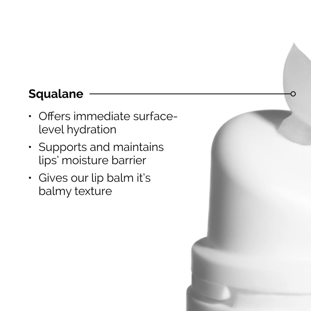 slide 6 of 7, The Ordinary Squalane + Amino Acids Hydrating Lip Balm, for Lips, Elbows, and Cuticles 0.5 oz / 15 ml, 