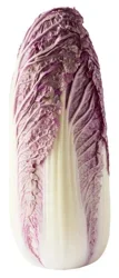 Fresh Red Napa Cabbage