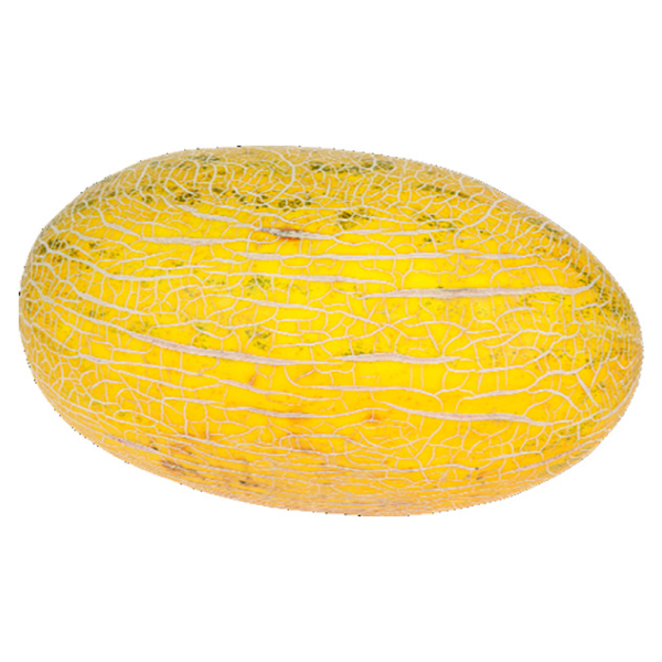 slide 1 of 1, Fresh Orange Hami Melon, 1 lb