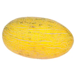 Fresh Orange Hami Melon