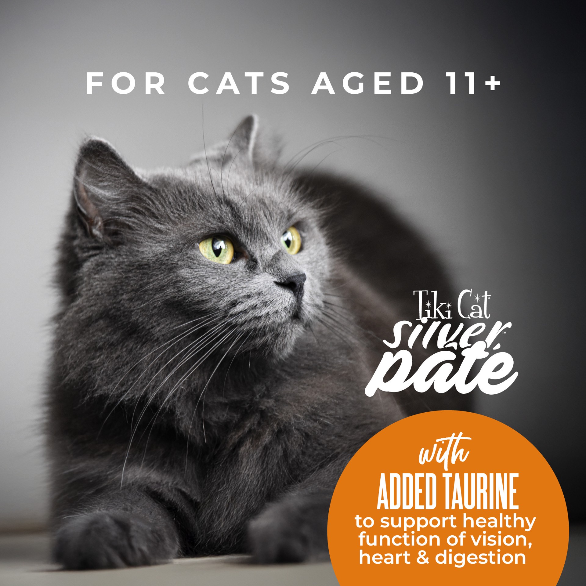 slide 3 of 6, Tiki Cat Silver Pate Wet Cat Food, Tuna & Mackerel Recipe in Broth, 2.4 oz. Can (12 Count), 2.4 oz