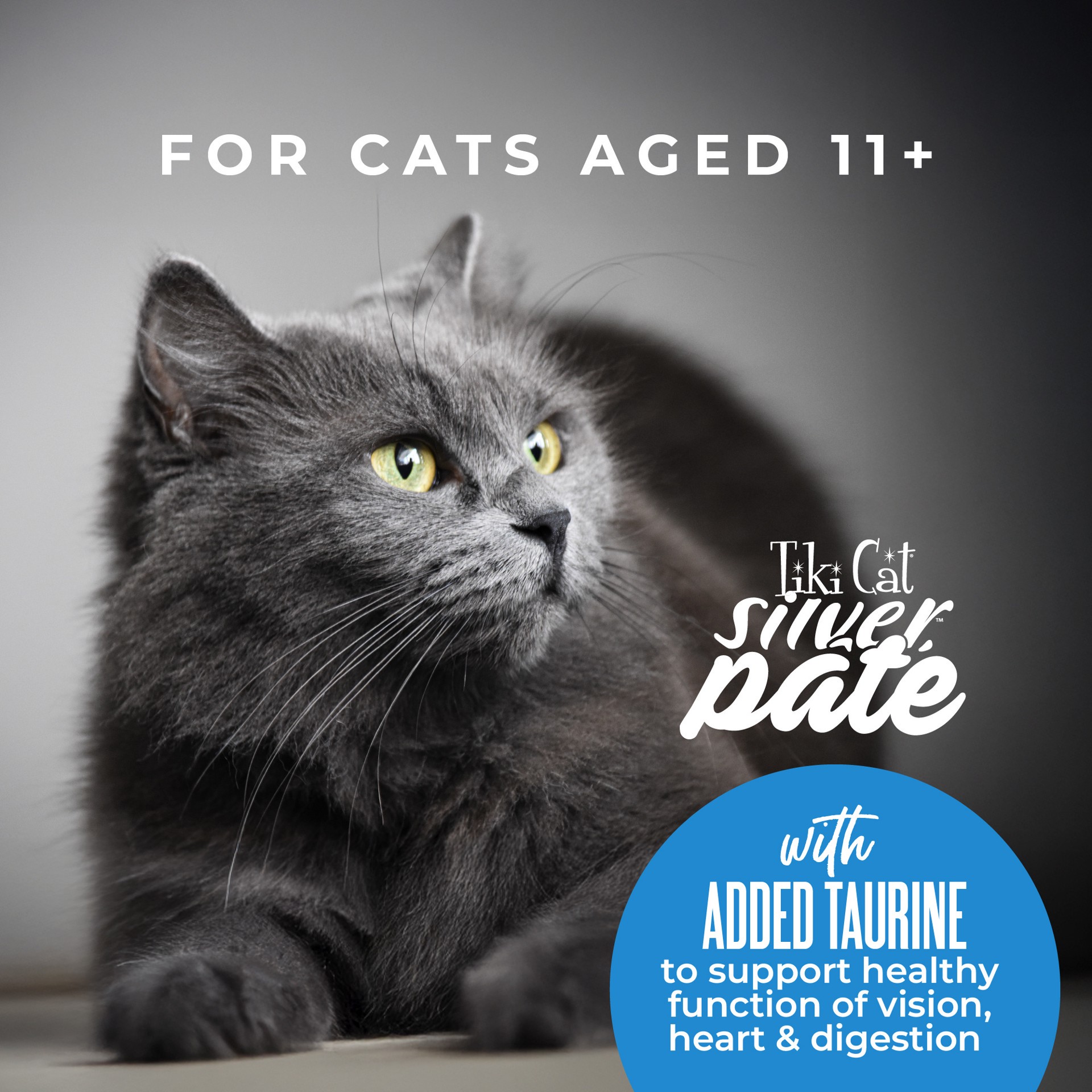 slide 6 of 6, Tiki Cat Silver Pate Wet Cat Food, Chicken, Duck & Duck Liver Recipe in Broth, 2.4 oz. Can (12 Count), 2.4 oz