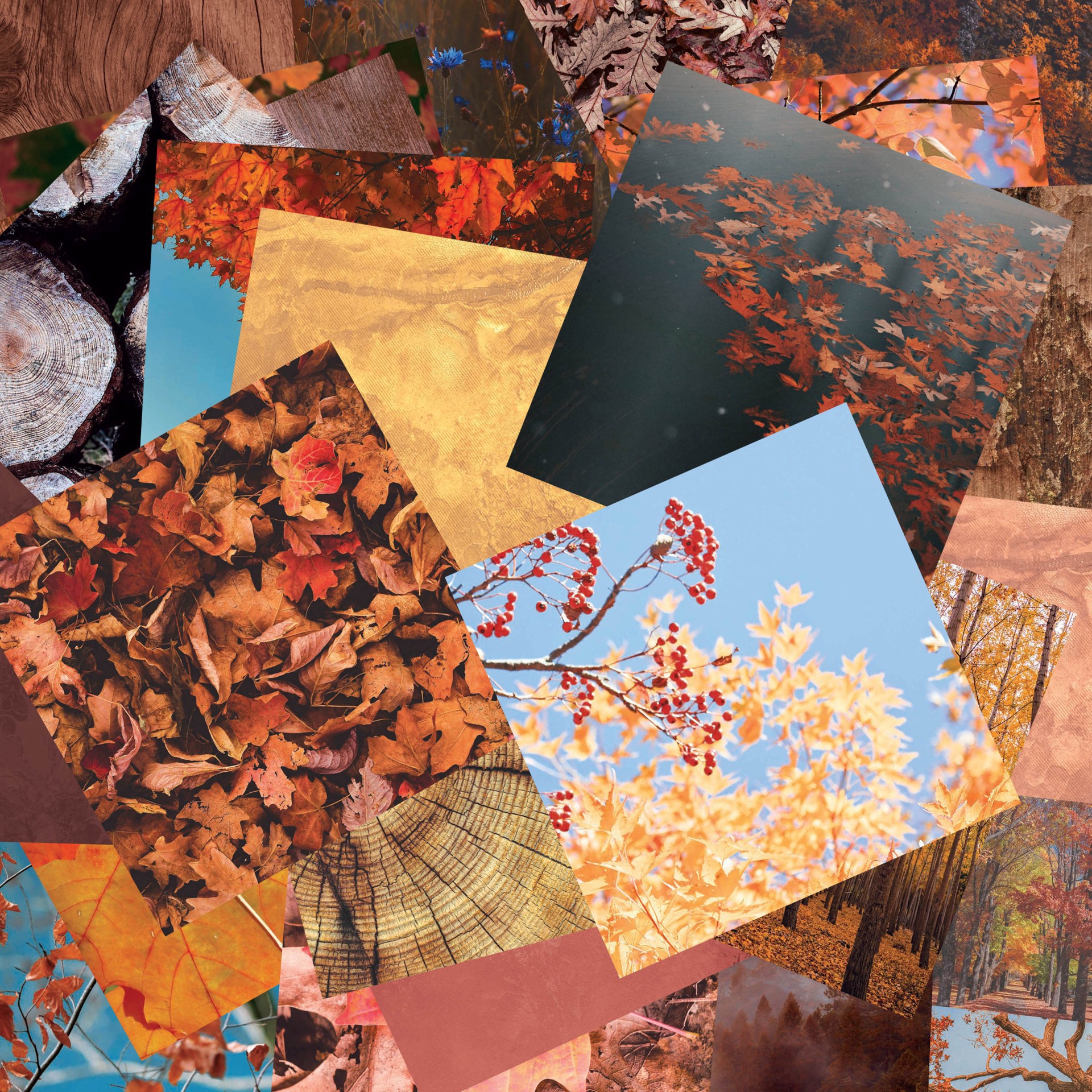 slide 2 of 3, Craft Smith 12" X 12" Autumn Textures Paper Pad, 12 in x 12 in