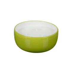 Everyday Living 9 oz Citronella Bowl - Lime Green