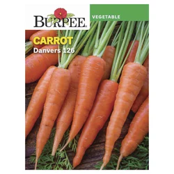 Burpee Carrot Danvers Half Long Seeds