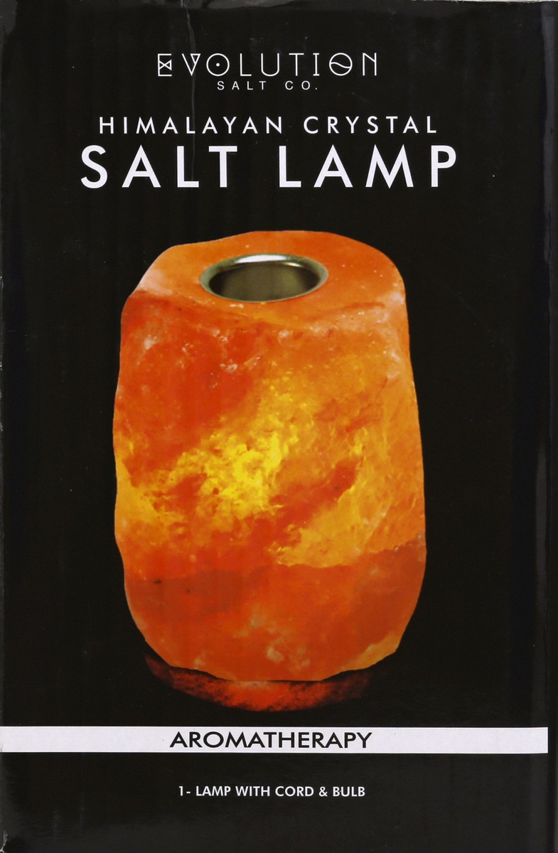 slide 2 of 6, Evolution Salt Co Salt Lamp Essnt Oil 1.000 Ea, 1 ct