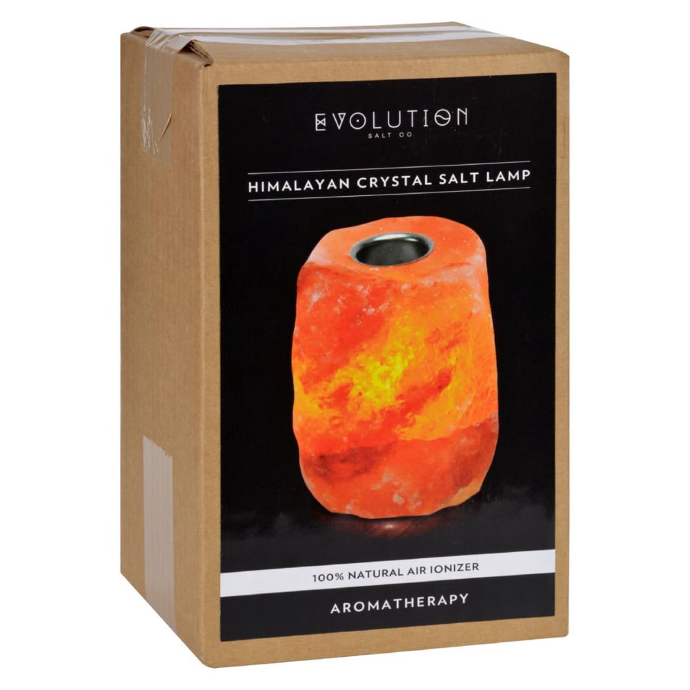 slide 1 of 6, Evolution Salt Co Salt Lamp Essnt Oil 1.000 Ea, 1 ct