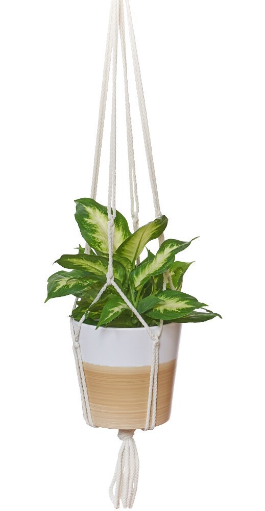 slide 2 of 2, Primitive Planters ntique White Macramé Plant Hanger, 1 ct