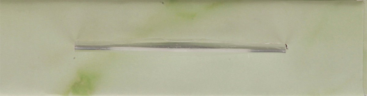 slide 9 of 9, Daily Concepts Gua Sha Jade Tool 1 ea, 1 ct