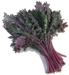 Organic Red Kale