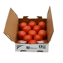 Markon First Crop Fresh Tomatoes