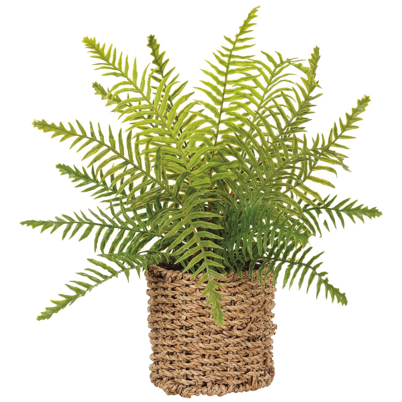 slide 1 of 1, Allstate Floral Boston Fern Faux Plant in Basket, 15 in