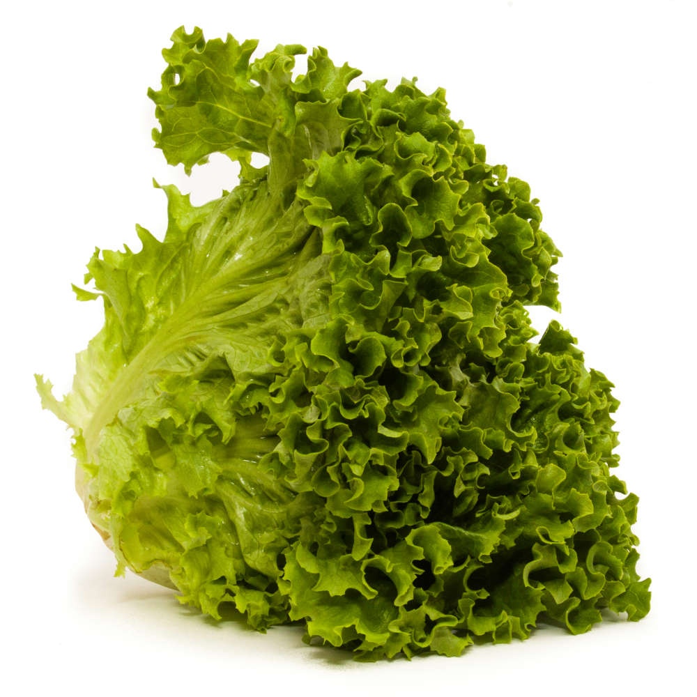 slide 1 of 1, Organic Green Leaf Lettuce, 1 lb