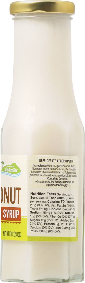 slide 13 of 14, Dip Into Paradise Syrup Coconut, 7.5 oz