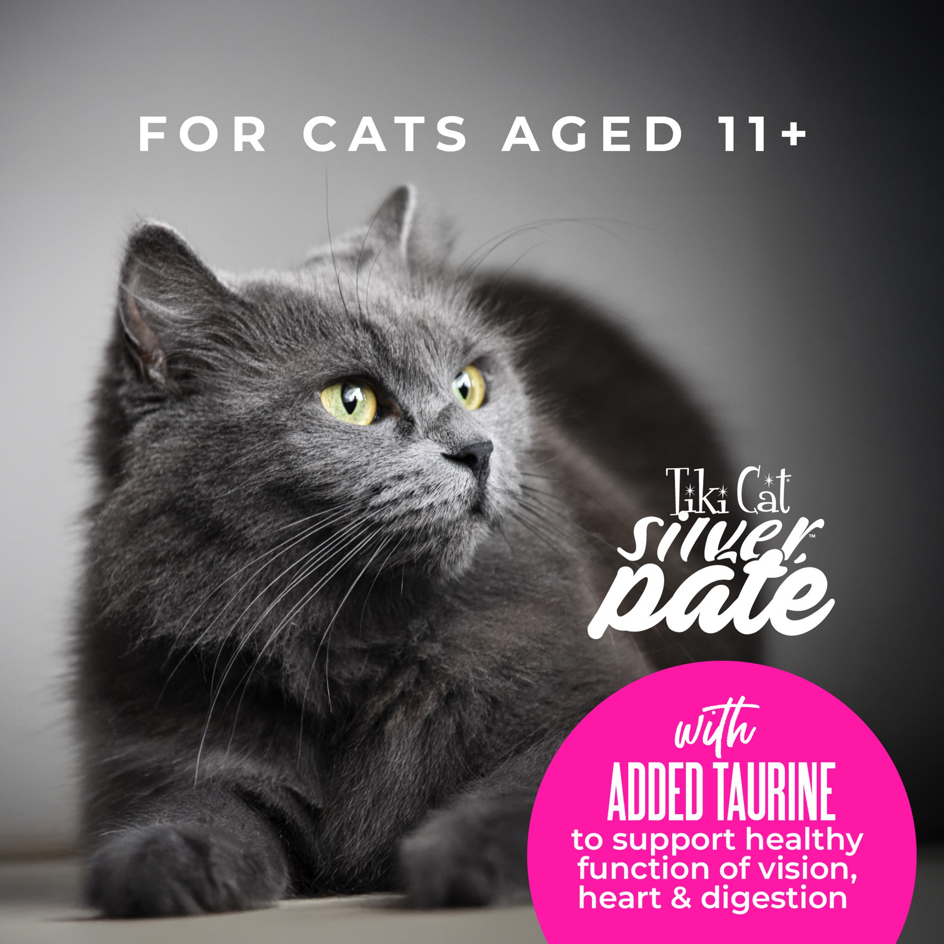 slide 4 of 6, Tiki Cat Silver Pate Wet Cat Food, Chicken Recipe in Broth, 2.4 oz. Can (12 Count), 2.4 oz