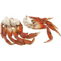 Dungeness Crab Cluster