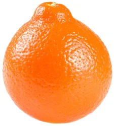 Fresh Orlando Tangelos