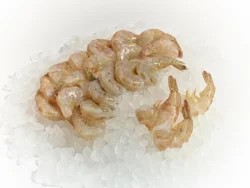 Raw White Shrimp 21/25 Per Pound