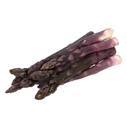 Fresh Purple Asparagus