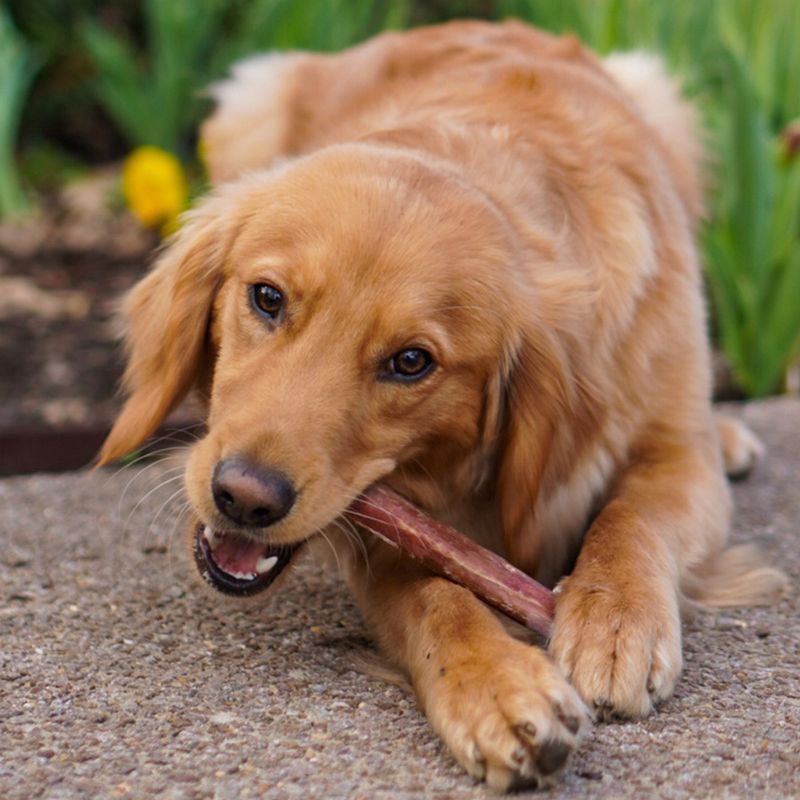 slide 4 of 5, Cadet Bully Beef Sticks Large Dog Treats - 5, 1 ct