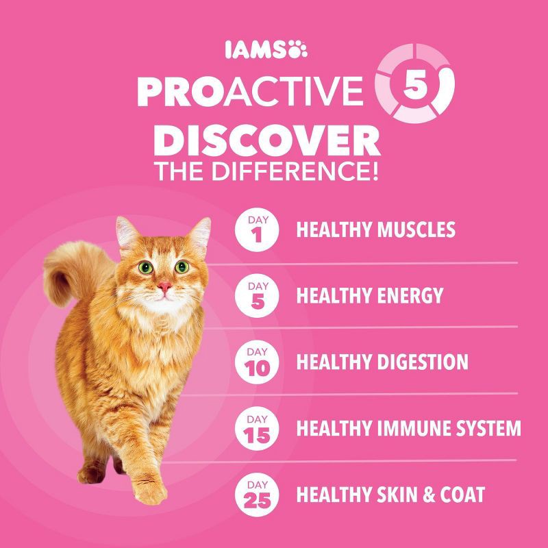 slide 4 of 12, IAMS Proactive Health Sensitive Digestion and Skin Turkey Flavor Dry Cat Food - 6lbs, 6 lb