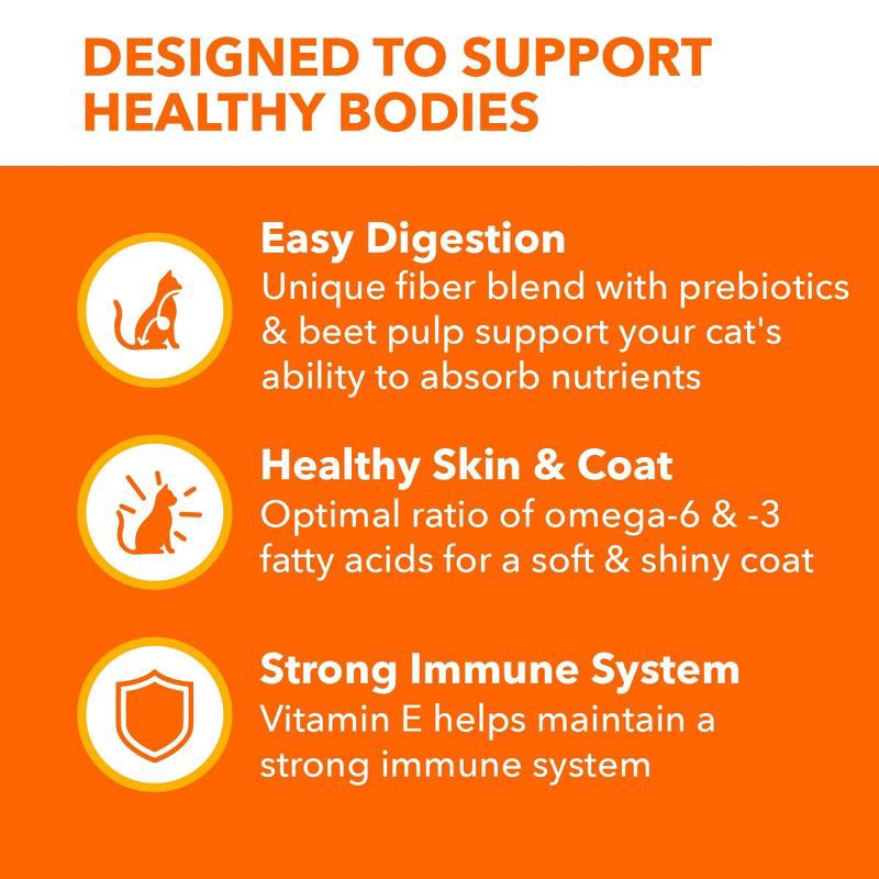 slide 6 of 12, IAMS Proactive Health Sensitive Digestion and Skin Turkey Flavor Dry Cat Food - 6lbs, 6 lb