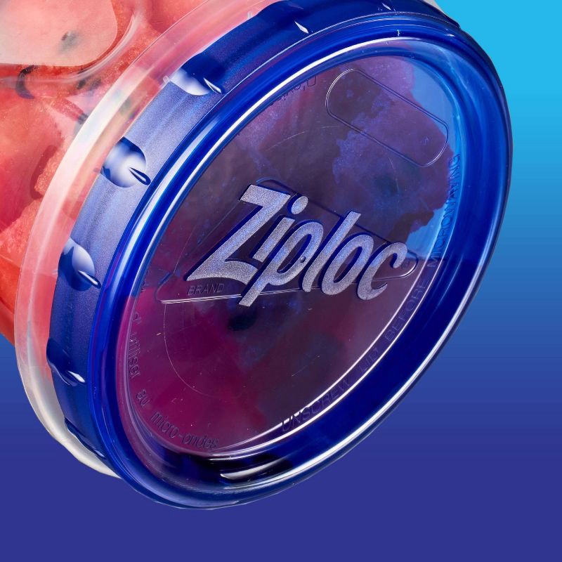 Ziploc Twist 'n Loc Extra Small Containers - 4ct 4 ct