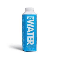 Just Water 100% Spring Water - 16.9 fl oz