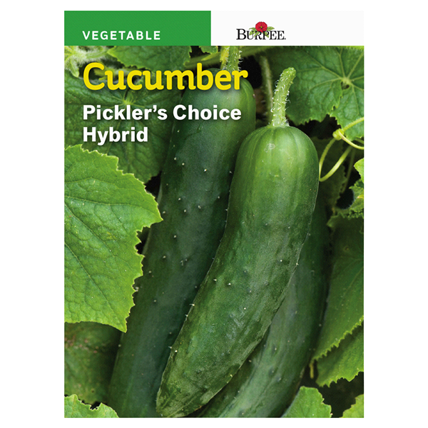 slide 1 of 1, Burpee Cucumber Picklers Choice Hybrid Seeds, 1 ct