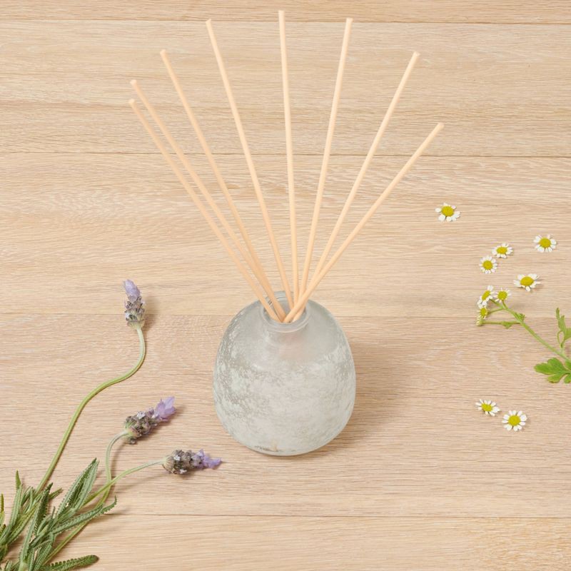 slide 2 of 5, 6.7 fl oz Tranquility Oil Diffuser - Casaluna™: Chamomile & Frankincense, 6.7 fl oz