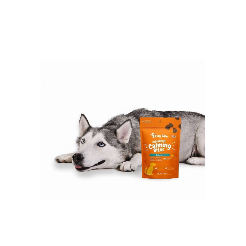 slide 3 of 7, Zesty Paws Advanced Behavior Calming Soft Chews for Dogs - Turkey Flavor - 60ct, 60 ct