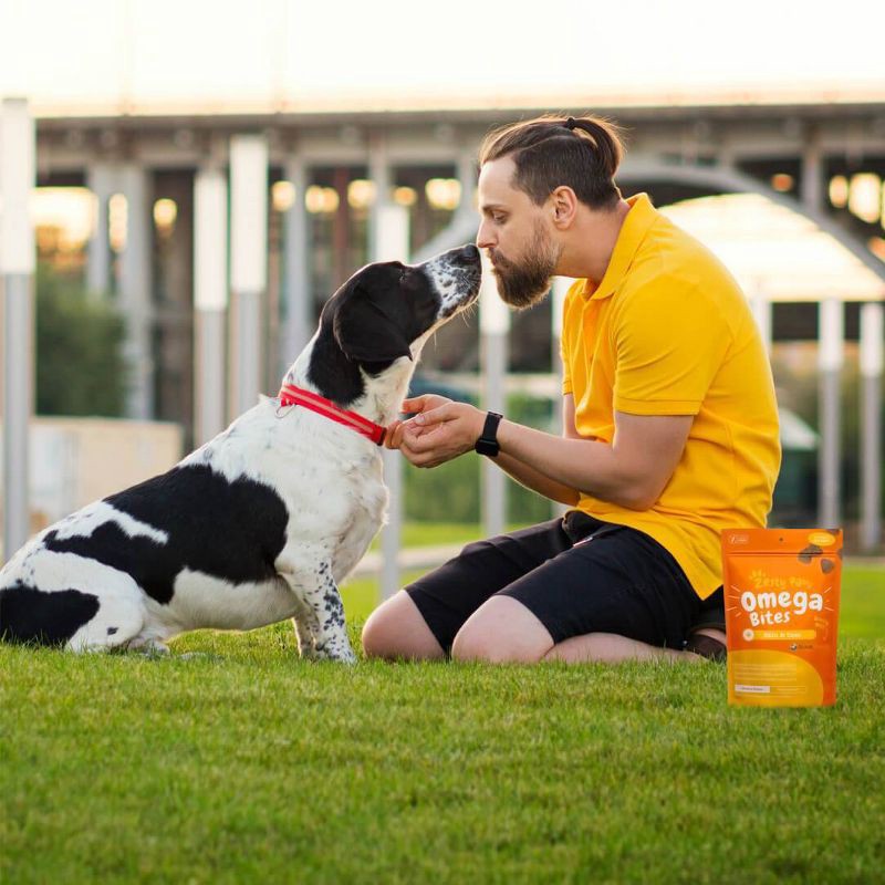 slide 4 of 4, Zesty Paws Skin & Coat Bites for Dog Chicken Flavor - 60ct, 60 ct