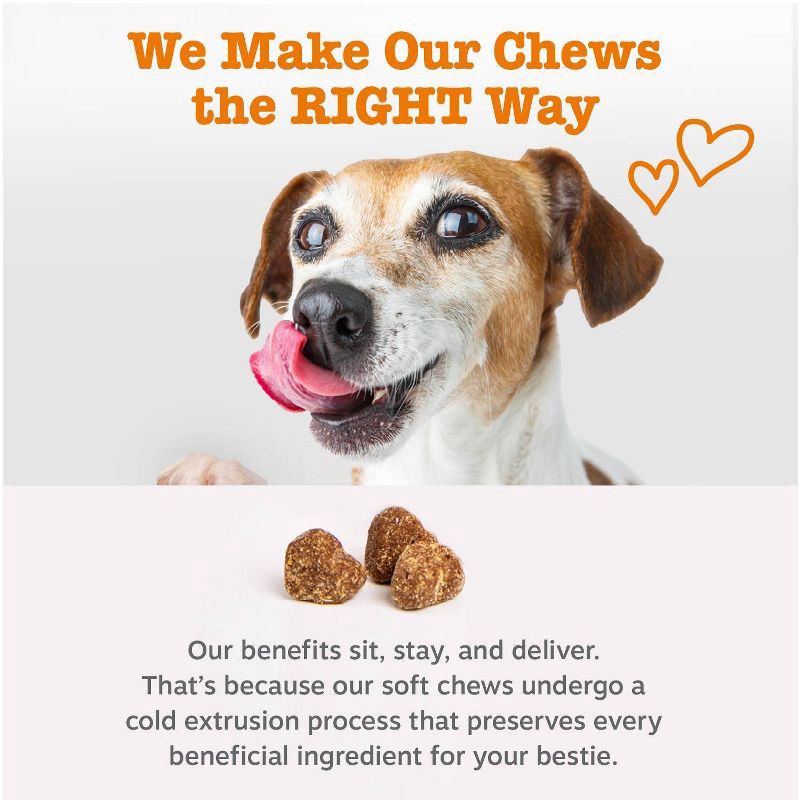 slide 8 of 11, Zesty Paws Probiotic Bites for Dog Pumpkin Flavor - 60ct, 60 ct