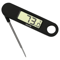 Taylor Compact Folding Thermometer