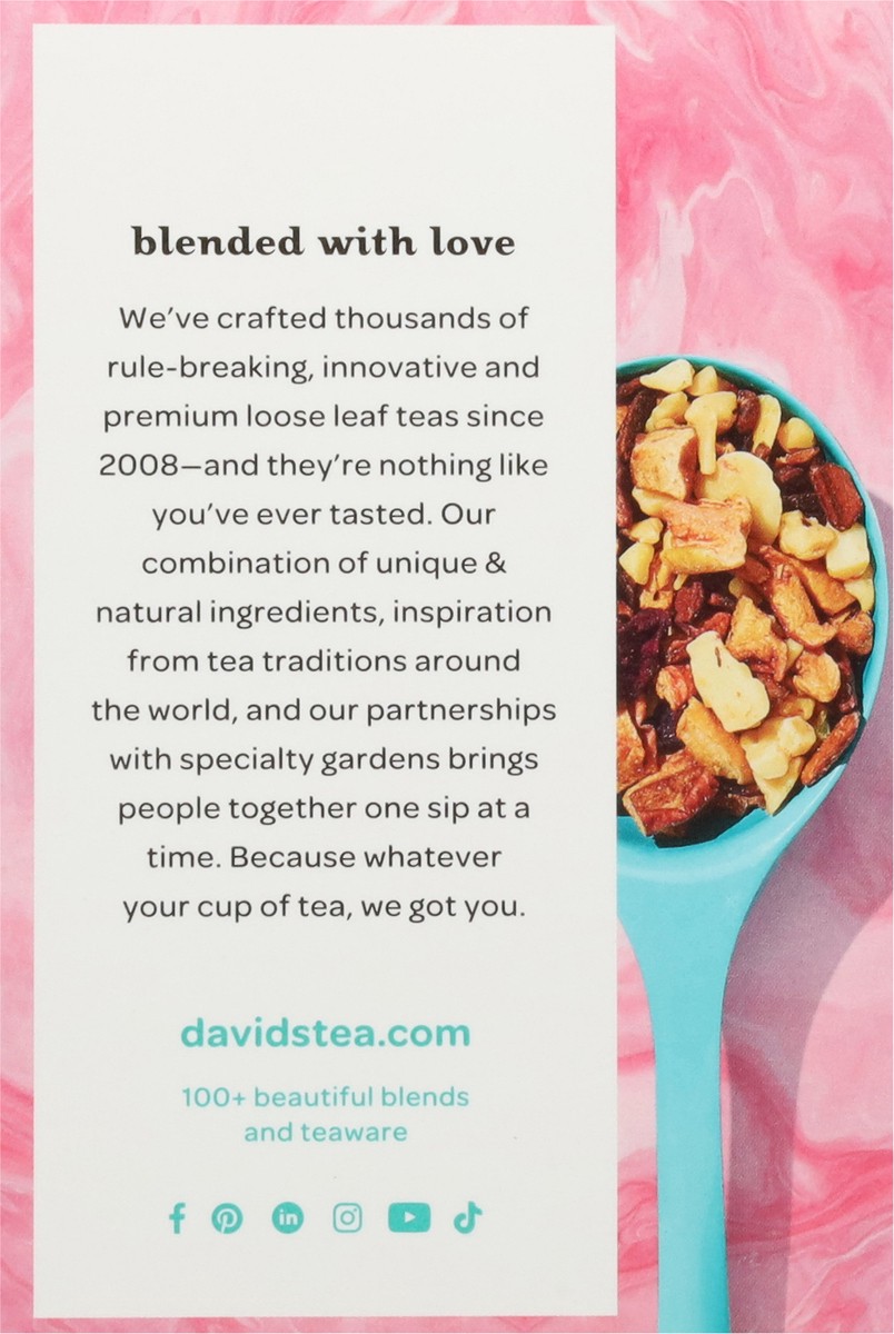 slide 12 of 13, DavidsTea Forever Nuts Fruit Infusion 12 Tea Bags- 12 ct, 12 ct