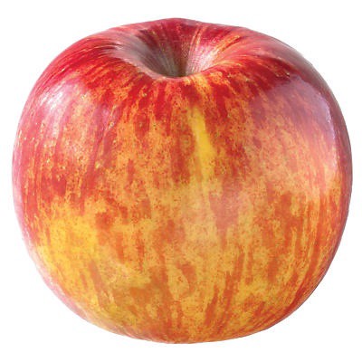 slide 1 of 1, Fresh Kiku Apples, 