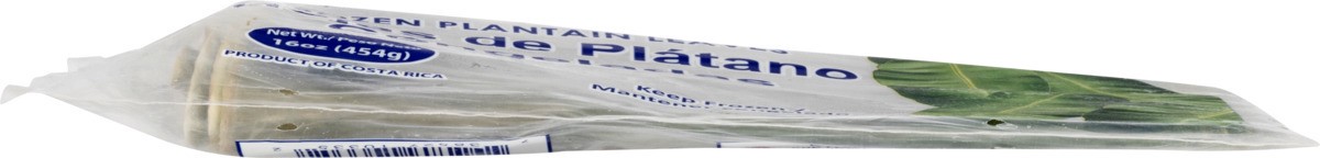 slide 7 of 9, Rio Grande Plantain Leaves, 