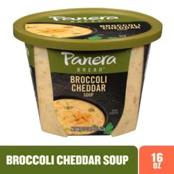 Panera Bread Broccoli Cheddar Soup, 16 Oz Soup Cup