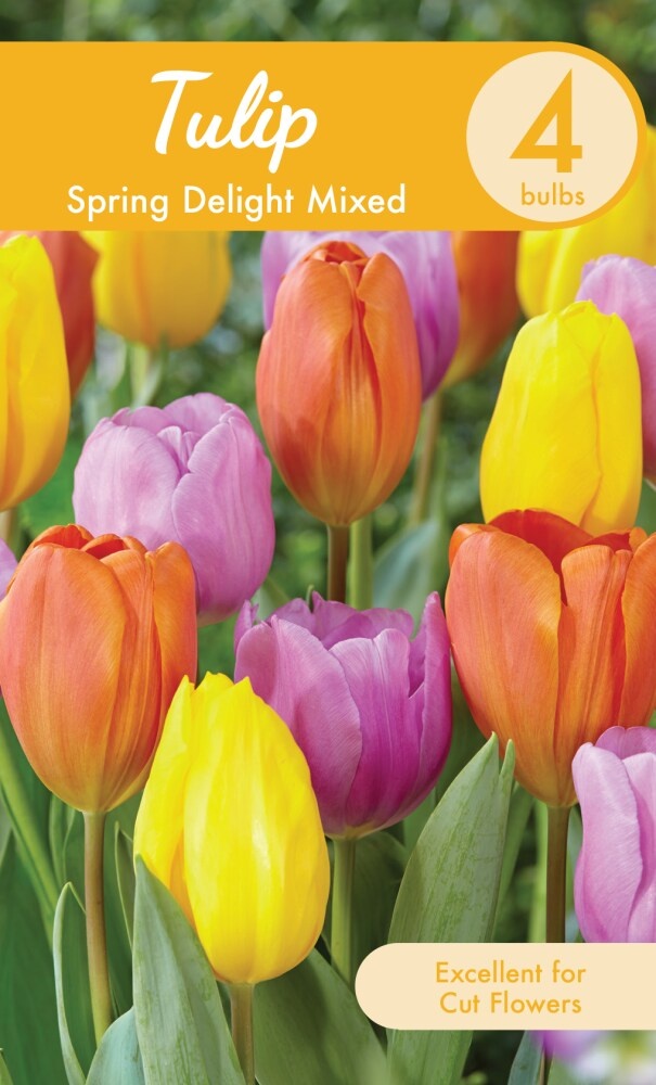 slide 1 of 1, Garden State Bulb Spring Delight Mixed Tulip Bulbs, 4 ct