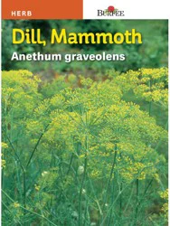 Burpee Dill Mammoth Seeds