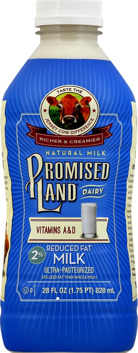 slide 7 of 13, Promised Land Dairy Milk, 28 oz