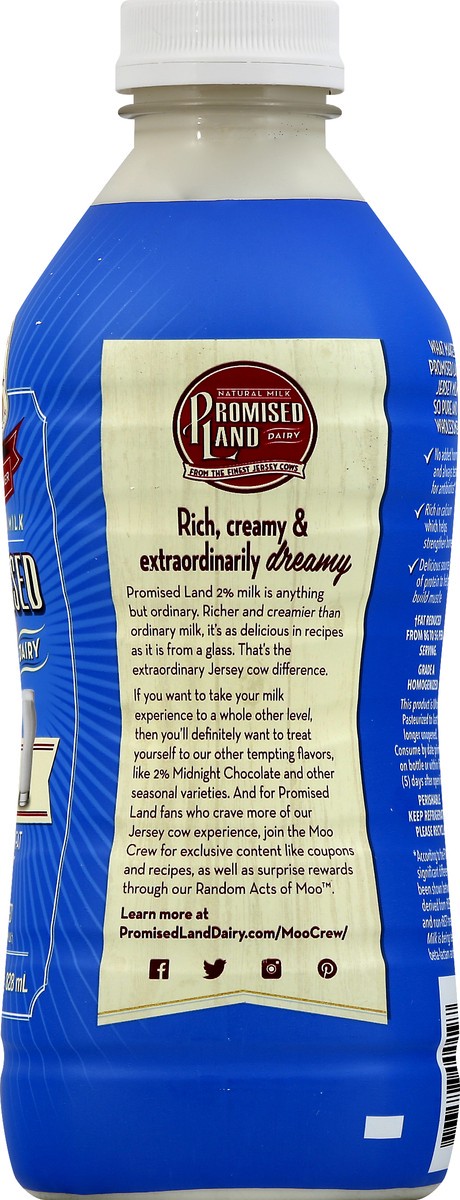 slide 9 of 13, Promised Land Dairy Milk, 28 oz