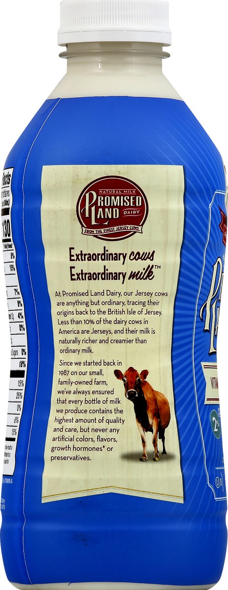 slide 10 of 13, Promised Land Dairy Milk, 28 oz