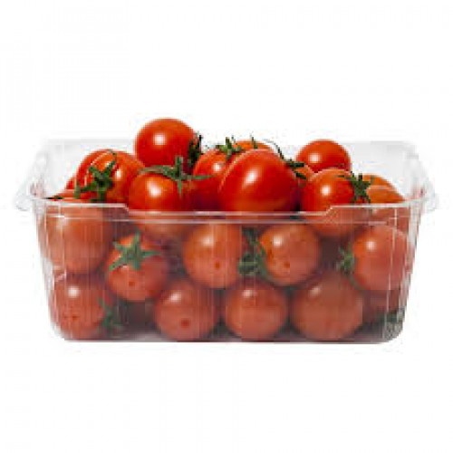 slide 1 of 1, Campari Tomatoes, 16 oz
