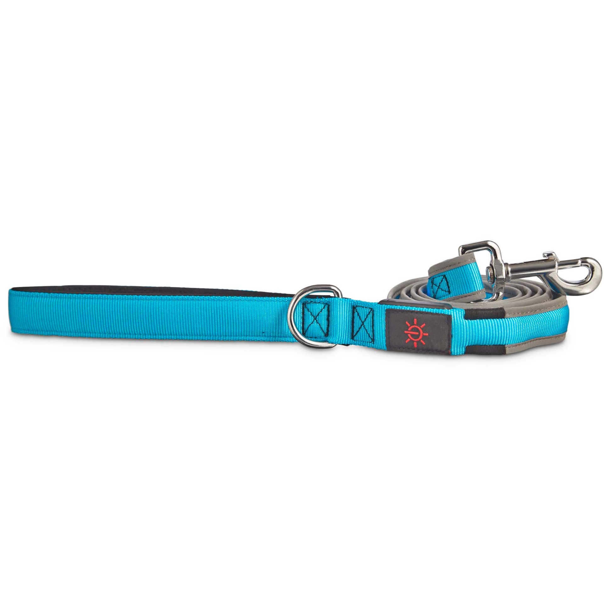 slide 1 of 1, Good2Go LED Light-Up Leash for Dogs in Blue, 1 ct